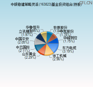 163823基金投资组合(持股)图
