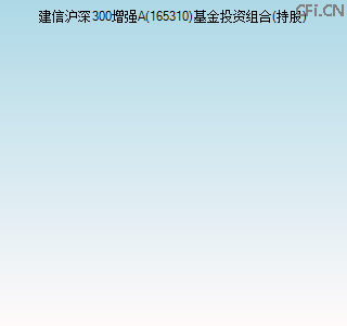 165310基金投资组合(持股)图