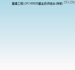 165525基金投资组合(持股)图