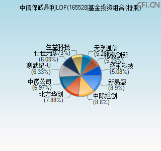 165528基金投资组合(持股)图