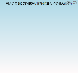 167601基金投资组合(持股)图