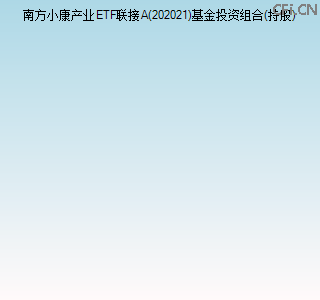 202021基金投资组合(持股)图 202021基金投资组合(持股)图