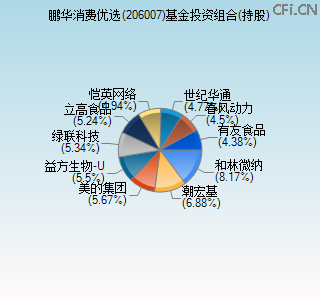 206007基金投资组合(持股)图 206007基金投资组合(持股)图