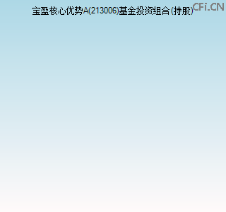 213006基金投资组合(持股)图 213006基金投资组合(持股)图
