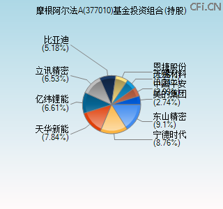 377010基金投资组合(持股)图