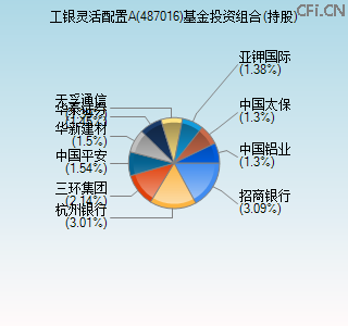 487016基金投资组合(持股)图