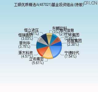 487021基金投资组合(持股)图