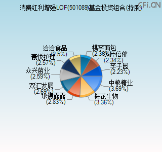 501089基金投资组合(持股)图 501089基金投资组合(持股)图