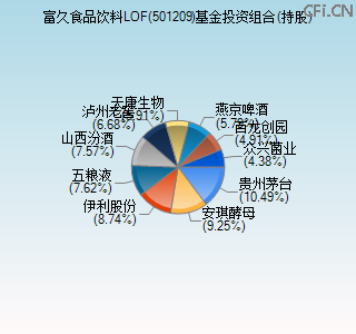 501209基金投资组合(持股)图