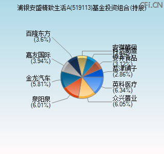 519113基金投资组合(持股)图