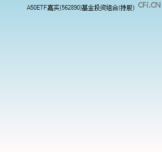 562890基金投资组合(持股)图