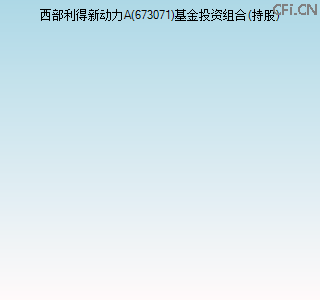 673071基金投资组合(持股)图