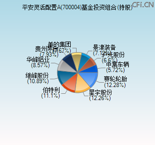 700004基金投资组合(持股)图