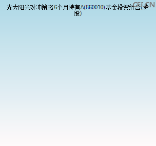 860010基金投资组合(持股)图