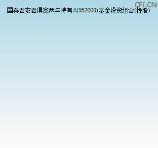 952009基金投资组合(持股)图 952009基金投资组合(持股)图