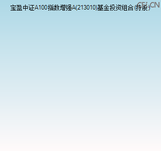 213010基金投资组合(持股)图 213010基金投资组合(持股)图