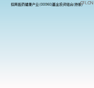 000960基金投资组合(持股)图 000960基金投资组合(持股)图