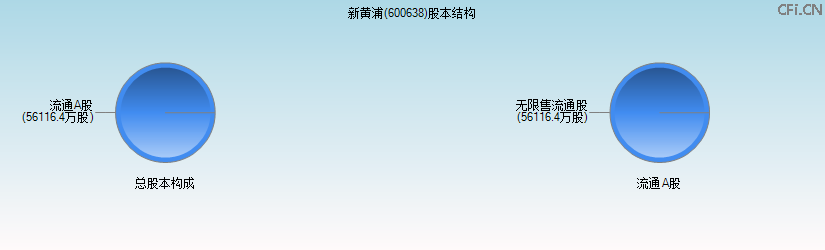 新黄浦(600638)股本结构图 新黄浦(600638)股本结构图