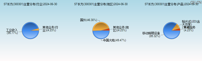 ST长方(300301)主营分布图 ST长方(300301)主营分布图
