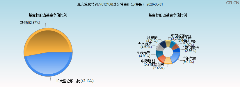 嘉实策略精选A(012466)基金投资组合(持股)图 嘉实策略精选A(012466)基金投资组合(持股)图